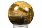 Polished Petrified Wood Sphere - McDermitt, Oregon #308262-1